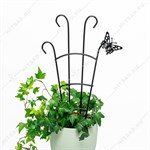 для роста растений