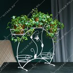 для комнатных растений