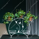 для 5 растений