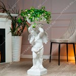 ангел в доме