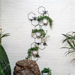 красивая на стену