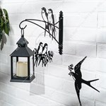 красивый для цветов