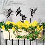 для растений