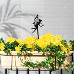 для комнатных растений