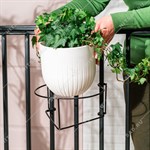 на одно кашпо