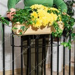 для ящика с цветами