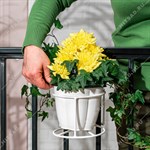 на одно кашпо