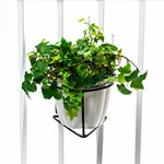 для растений