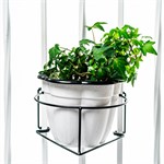 для растений