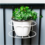 для растений