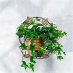 Подставка для цветка настенная 15-101 металл 15-101 - фото 115945