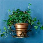 Подставка для цветка настенная 15-101 металл 15-101 - фото 115946