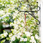 для озеленения