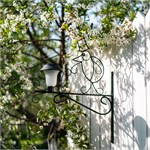 для растений