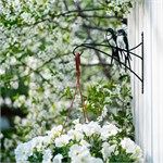 в подарок садоводу