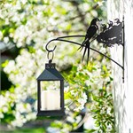 для декора и растений