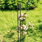 для роста растений