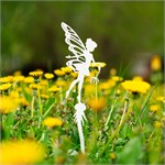 для роста растений