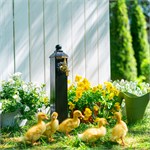 с латунным краном