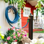 купить не дорого