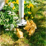 легко установить