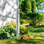 в подарок садоводу