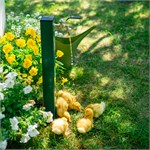 для сада и огорода