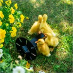 для умывальника