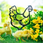 курица в саду