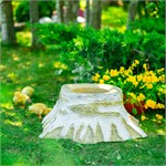 в подарок садоводу