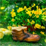 ботинок в саду ботинок в саду