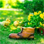 оригинальное кашпо оригинальное кашпо