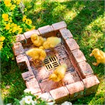 из стеклопластика