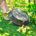 для декора в саду для декора в саду