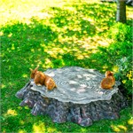 для сада и огорода