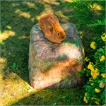 в подарок садоводу