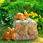 для сада и огорода