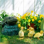 в подарок садоводу в подарок садоводу