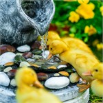 для сада и огорода