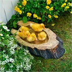 в подарок садоводу