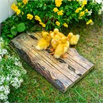 в подарок садоводу