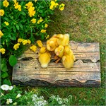 садовый поддон