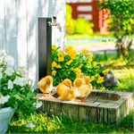 для сада и огорода