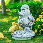 для сада и огорода