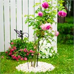 для декора в саду