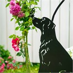 пёс в саду пёс в саду