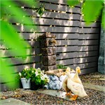 для территории загородного дома