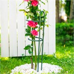 Опора для растений садовых