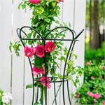 для декора в саду