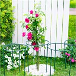 Опора круглая для садовых растений 58-906Gr металлическая цвет зелёный h=51 см 58-906Gr - фото 117148